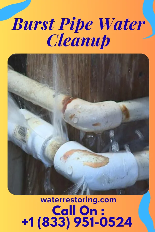 Burst Pipe Water Cleanup in Blanchard, LA