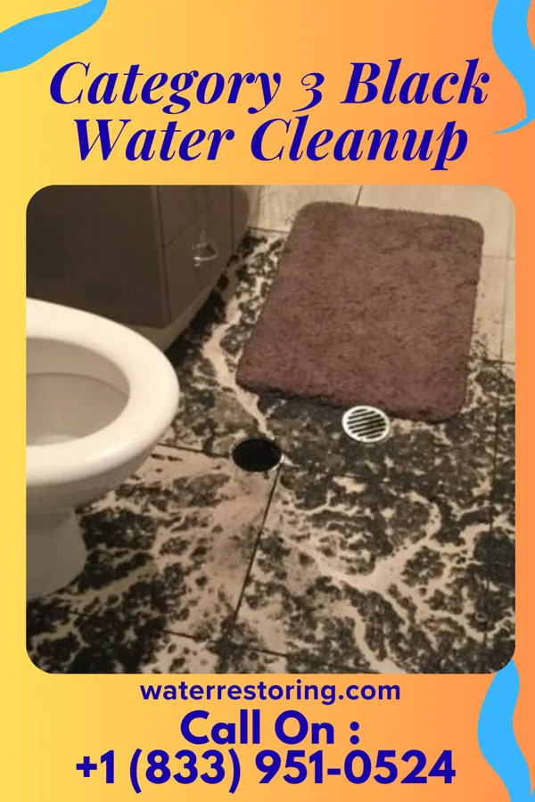 Category 3 Black Water Cleanup in Blanchard, LA