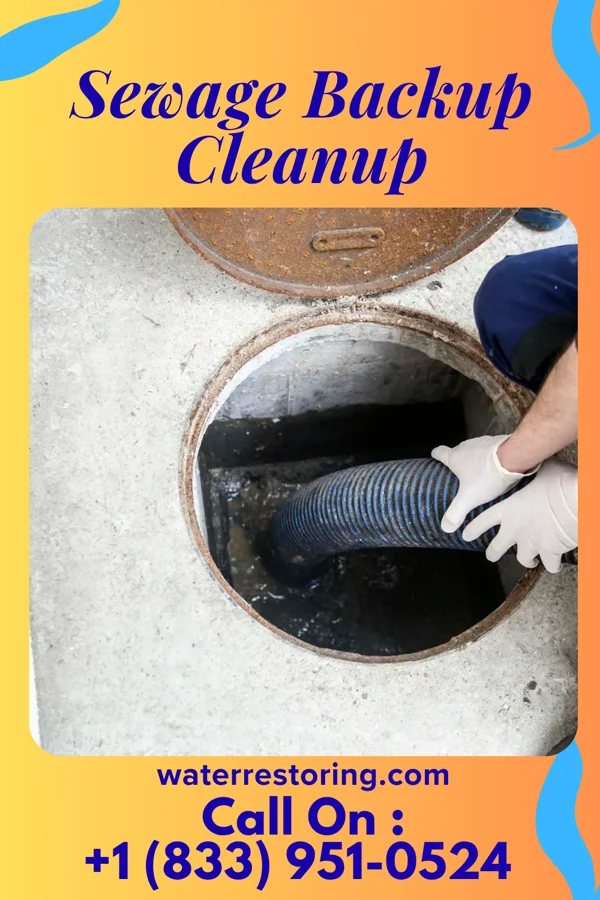 Sewage Backup Cleanup in Blanchard, LA