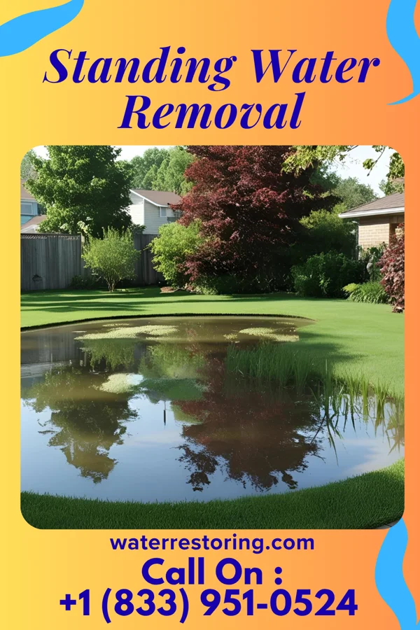 Standing Water Removal in Blanchard, LA